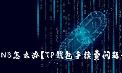 没有BNB怎么办?TP钱包手续费问题全解析