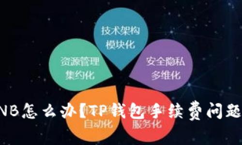 没有BNB怎么办?TP钱包手续费问题全解析