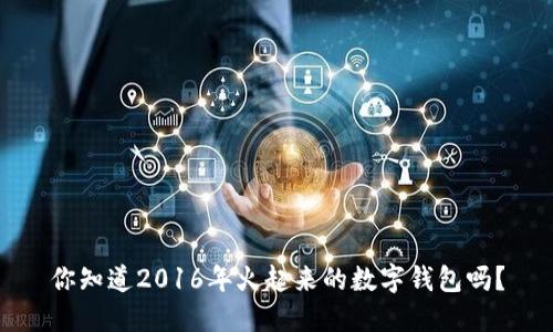 你知道2016年火起来的数字钱包吗？