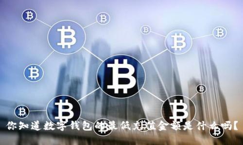 你知道数字钱包的最低充值金额是什么吗?