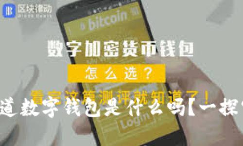 你知道数字钱包是什么吗?一探究竟!