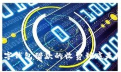 你知道数字钱包借款的收费到底是怎样