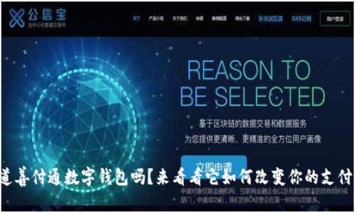 你知道善付通数字钱包吗?来看看它如何改变你的支付方式!