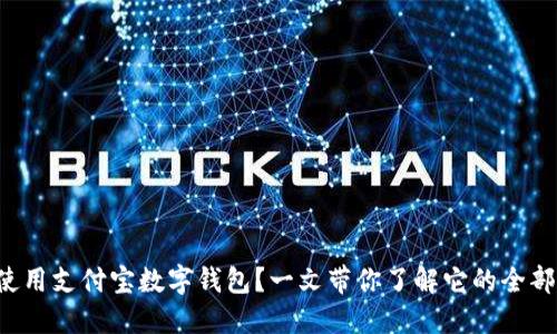 如何使用支付宝数字钱包？一文带你了解它的全部功能！