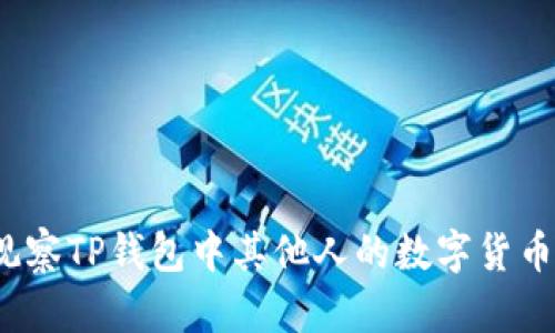 如何观察TP钱包中其他人的数字货币余额?