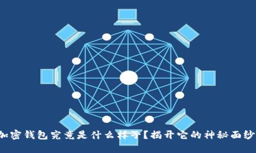 加密钱包究竟是什么样子?揭开它的神秘面纱!