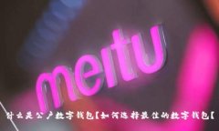 什么是公户数字钱包？如何选择最佳的