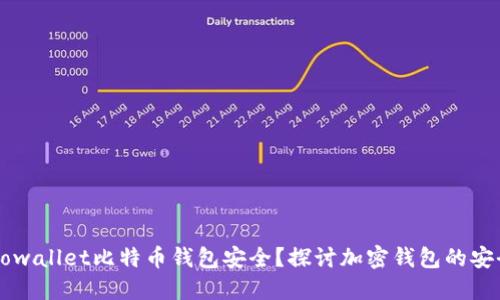 如何确保你的Dowallet比特币钱包安全？探讨加密钱包的安全性和使用技巧