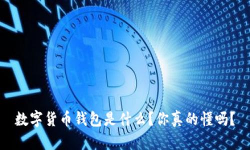 数字货币钱包是什么?你真的懂吗?