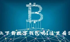 想知道如何在iOS上下载数字钱包吗？这