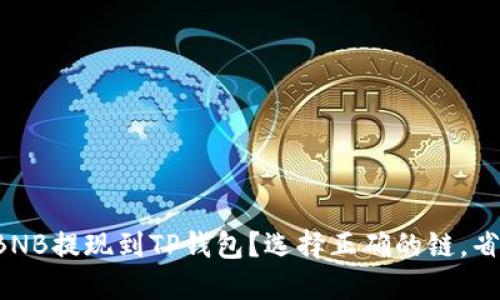 如何将BNB提现到TP钱包？选择正确的链，省时省心！