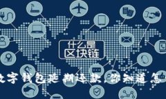 “没钱了？数字钱包延期还款，你知道