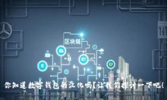 你知道数字钱包的汉化吗？让我们探讨
