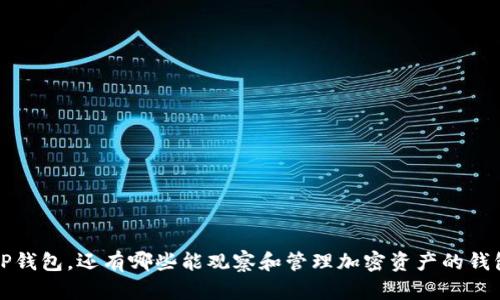 除了TP钱包，还有哪些能观察和管理加密资产的钱包选择