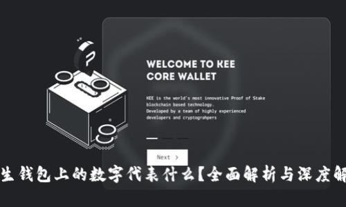 学生钱包上的数字代表什么？全面解析与深度解读