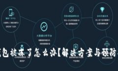 TP钱包被冻了怎么办？解决方案与预防措施