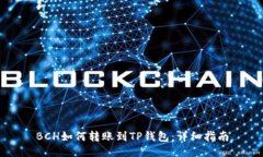 BCH如何转账到TP钱包：详细指南