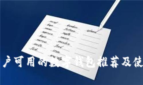 大陆用户可用的数字钱包推荐及使用指南