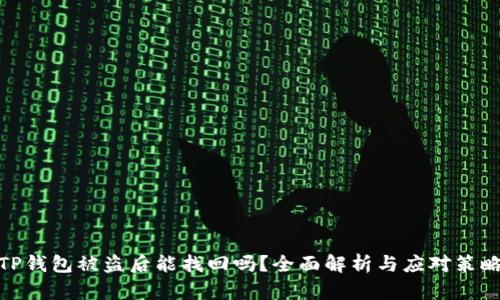 TP钱包被盗后能找回吗？全面解析与应对策略