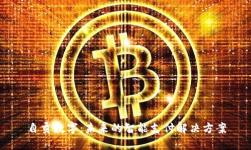 自贡数字：未来的智能支付解决方案